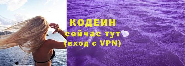шишки Абаза