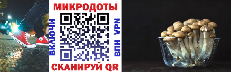 Галлюциногенные грибы Cubensis  где продают наркотики  Югорск 